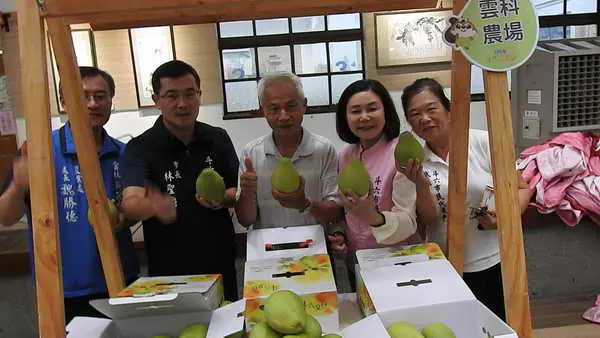 柚見幸福 14年斗六文旦節系列活動熱鬧登場1