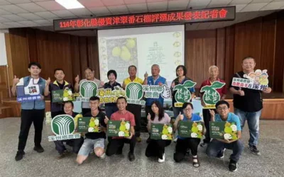 彰化縣優質「津翠」番石榴正式亮相  極端氣候影響後品質回穩 逐步打響品牌知名度