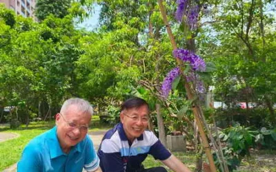 為綠色環保盡一份心力∼中國醫藥大學洪明奇校長、林昭庚院士認養台中「育德園道」花木