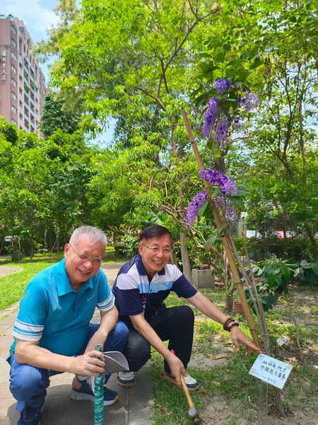 為綠色環保盡一份心力