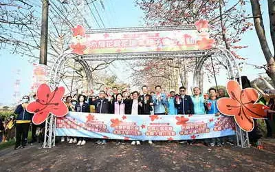 春日限定花海爆發!彰化木棉花季絕美綻放