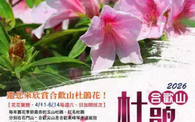 合歡山杜鵑花季疏運啟動,4月11日至6月14日假日實施,歡迎預約搭乘