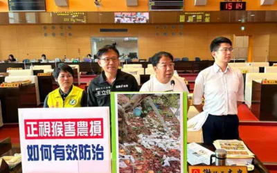 台中市議員謝志忠、王立任、張玉嬿、黃守達聯合質詢 正視猴害農損 如何有效防治?