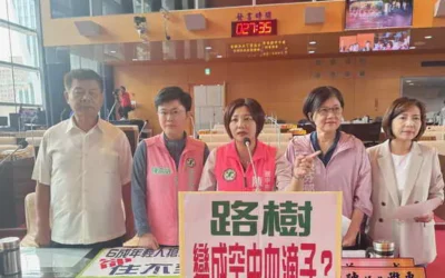 市議員陳雅惠要求建設局全面檢討路樹管理機制