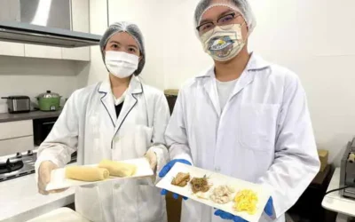清明潤餅 中山醫大研發高纖低糖新配方