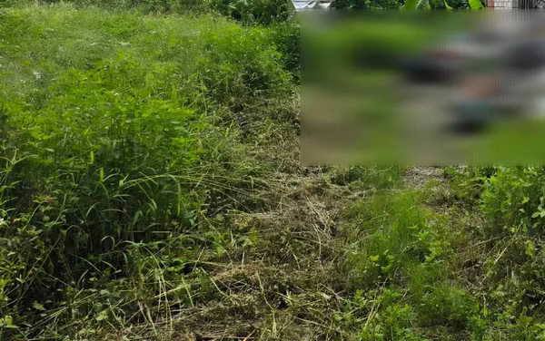 彰化分署依法查封土地 交通專案執行全數徵起 高齡義務人無照拒測 家屬為保土地一次繳清欠款1