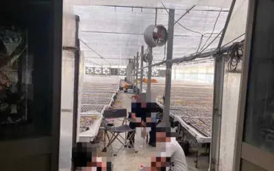 雲林檢警攻堅救豬仔 全力打詐不停歇