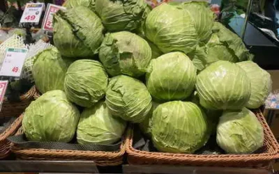 農糧署加強調配蔬菜 全臺連鎖賣場推動國產甘藍優惠專區