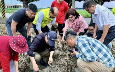 連日大雨重創雲林蒜田 劉建國邀農政單位跑五鄉鎮爭取天然災害救助