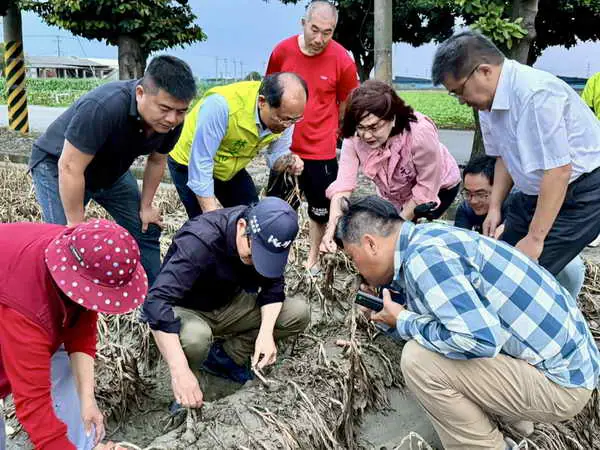 連日大雨重創雲林蒜田 劉建國邀農政單位跑五鄉鎮爭取天然災害救助1