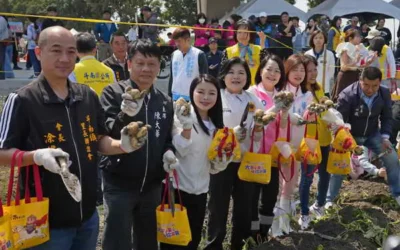 斗南馬鈴薯節熱鬧登場 千人下田體驗採收推廣食農教育