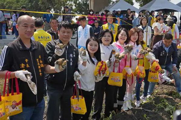 斗南馬鈴薯節熱鬧登場 千人下田體驗採收推廣食農教育