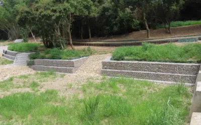 治山防災兼顧生態保育 南投分署生態治理成果逐步展現