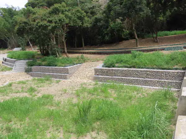 治山防災兼顧生態保育 南投分署生態治理成果逐步展現1