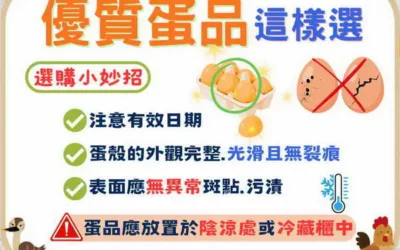 衛生局加強蛋品食安稽查 呼籲消費者聰明選蛋