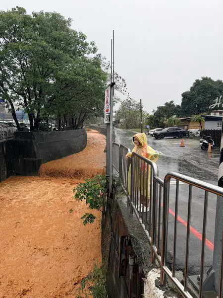 黃馨慧關心大雨排水 守護地方民生1