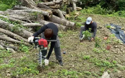 雲林縣新增大湖底賞螢棲地 推動螢火蟲復育再邁一步