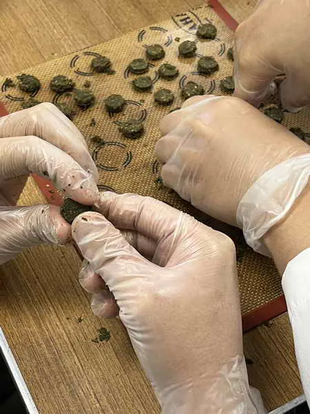 三伏天用三伏貼 治療過敏性鼻炎有效1