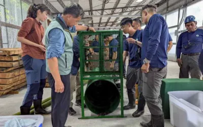 整備應變能力 深化保育實力 林業保育署南投分署辦理臺灣黑熊保育與救傷演練