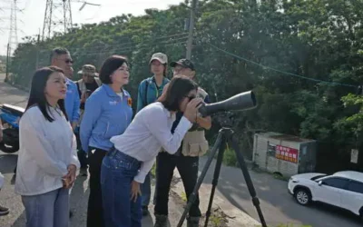 首度記錄瀕危東方白鸛在台野外繁殖 濁水溪從揚塵河川到蛻變生態廊道