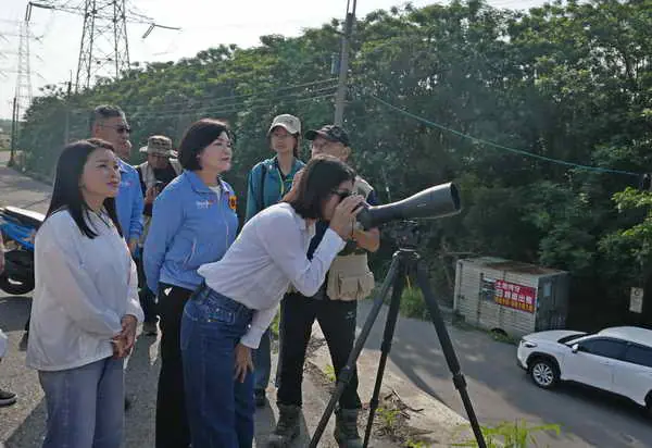 首度記錄瀕危東方白鸛在台野外繁殖 濁水溪從揚塵河川到蛻變生態廊道1