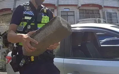 老婦駕車烈日拋錨 熱心斗六警揮汗助脫困