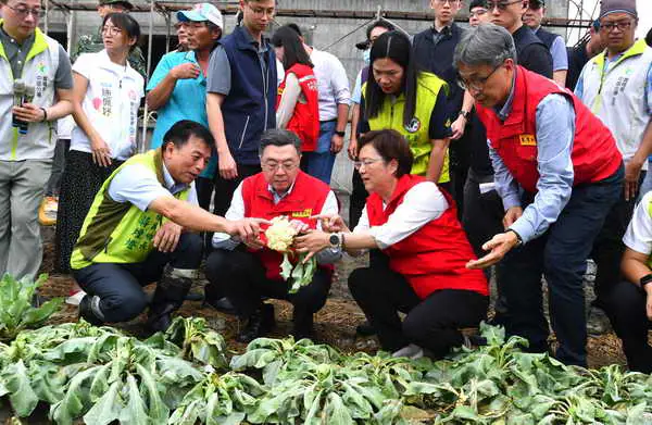 行政院長視察番石榴及花椰菜受損情形 爭取彰化公告為2