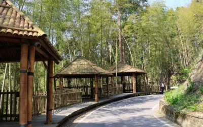 草嶺石壁竹創森國際永續里程再邁進 繼「世界竹地標」後取得全國首座公有林 FSC FM 國際管理驗證竹林地