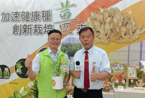 農試所研發加速健康種薑技術 與農民共創新1
