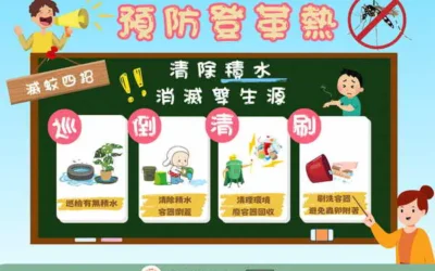 颱風後防止登革熱疫情 落實巡倒清刷清除積水容器