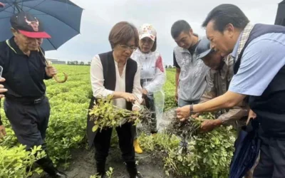豪雨重創彰化花生產區 赴大城勘災 籲中央及早核定災害補助啟動救助