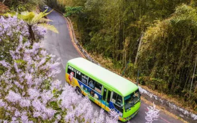 搭上台灣好行 輕鬆暢遊南投三大溫泉區 從埔里玩到東埔,泡進北港溪的山林秘湯