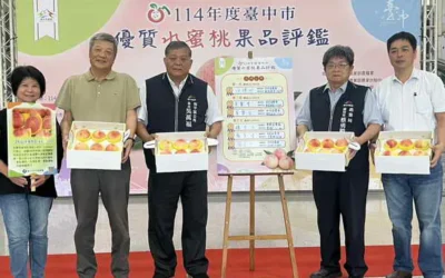 台中市優質水蜜桃評鑑結果出爐 農友汪煥洲榮獲水蜜桃達人