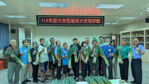 台中優質大安葱盛產期風味絕佳 農友黃加茵勇奪青葱冠軍1