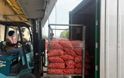 紅蔥頭外銷韓國啟航 農糧署多元產銷措施奏效 穩定產地價格保收益