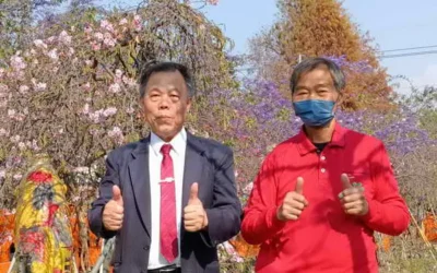 芬園花卉生產休憩園區櫻花達人張洲府 邀請大家來賞櫻