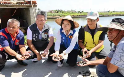 不敵連續暴雨 雲林沿海養殖文蛤幾全軍覆沒 張麗善縣長爭取中央從速救助 幫漁民度難關