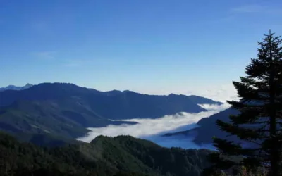 冬季賞雲海 首選合歡山