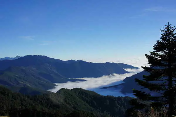冬季賞雲海 首選合歡山