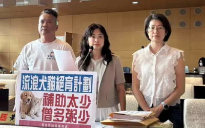 街犬貓絕育補助計劃僧多粥少 黃佳恬議員:中央修法地方加碼 減少「人犬衝突」