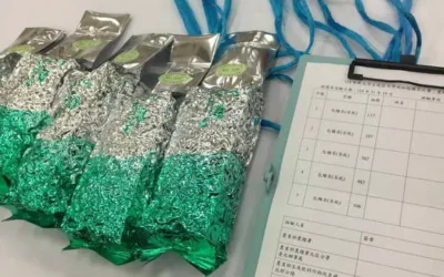 精進國產茶溯源機制,條形包種茶產地鑑別啟動
