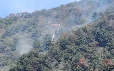 有關「南投埔里森林大火因強風復燃,燒毀約40公頃林地」,南投分署說明
