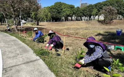 中央公園啟動原生植物培育行動!建設局攜手科博館打造都市原生種苗庫