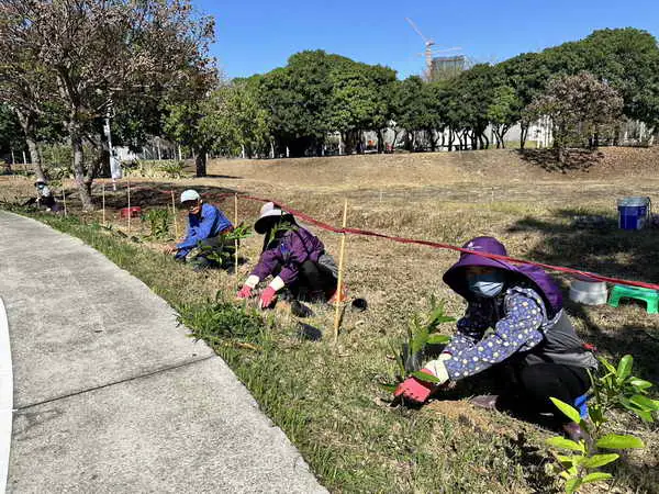 中央公園啟動原生植物培育行動1
