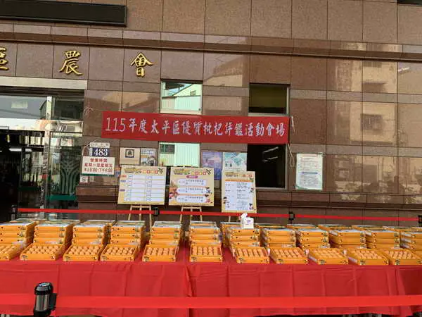 太平枇杷王出爐1