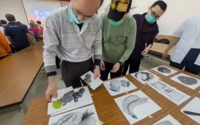 復健也能像逛超市！草屯療養院舉辦「補貨挑戰賽」近百位病友熱情組隊動腦動身，在歡笑中找回生活超能力