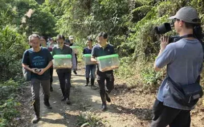 守護「魚池鄉」獨有物種!瀕危「魚池琴蛙」啟動新棲地拓殖野放