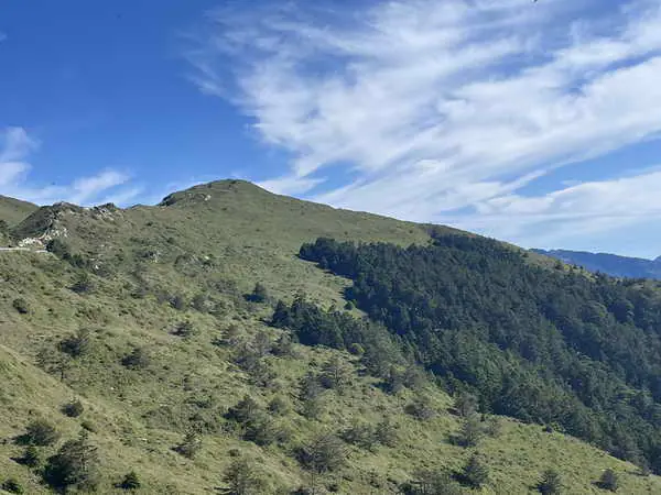 感受合歡山夏季清涼森活1