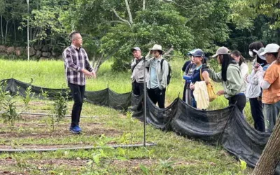 南投山林寶藏大公開!台灣山茶研習,助攻「林下經濟」新生活!