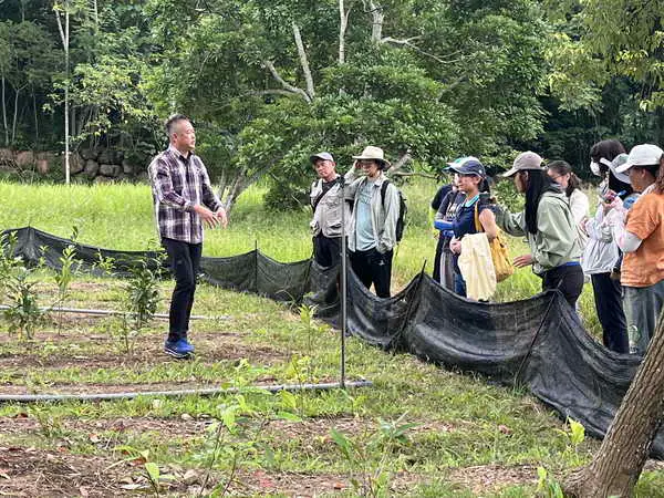 南投山林寶藏大公開1